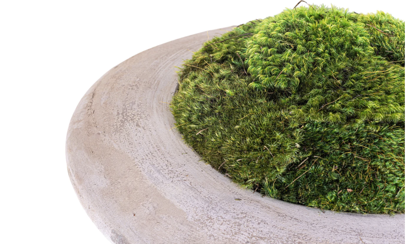 ANDY SAUCER WITH MOSS 14"