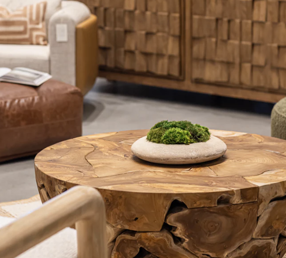 ANDY SAUCER WITH MOSS 14"