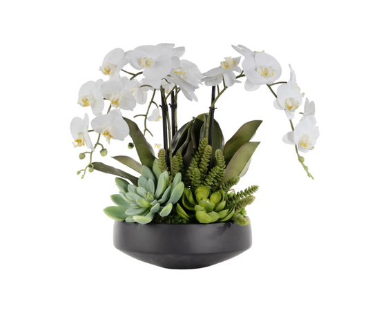 CLARA ORCHID ARRANGEMENT