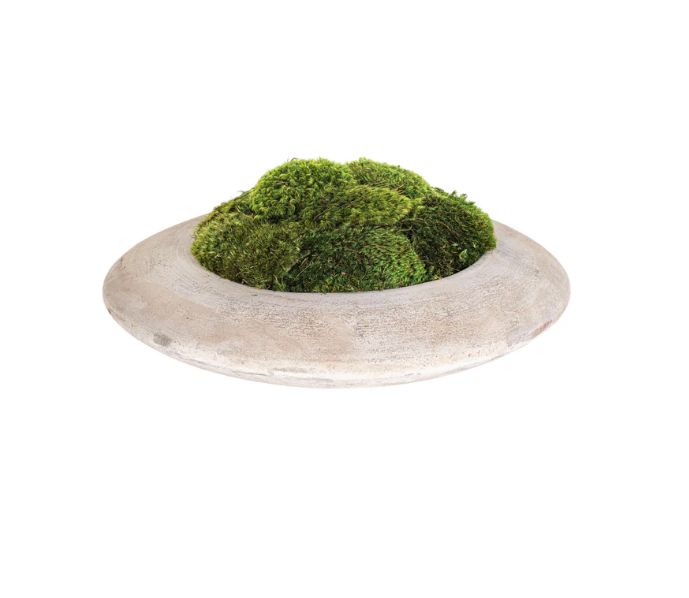 ANDY SAUCER WITH MOSS 14"